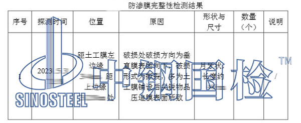 检测项目结果