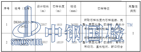钢筋混凝土检测项目结果