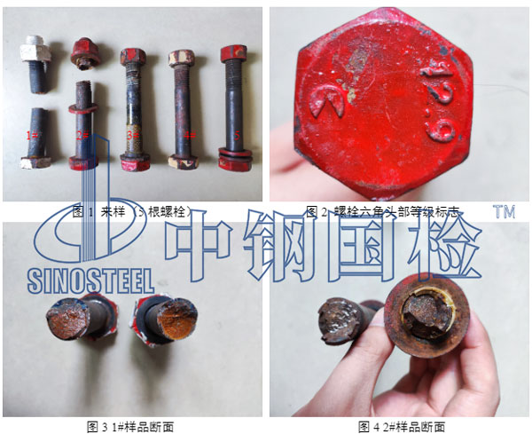 样品