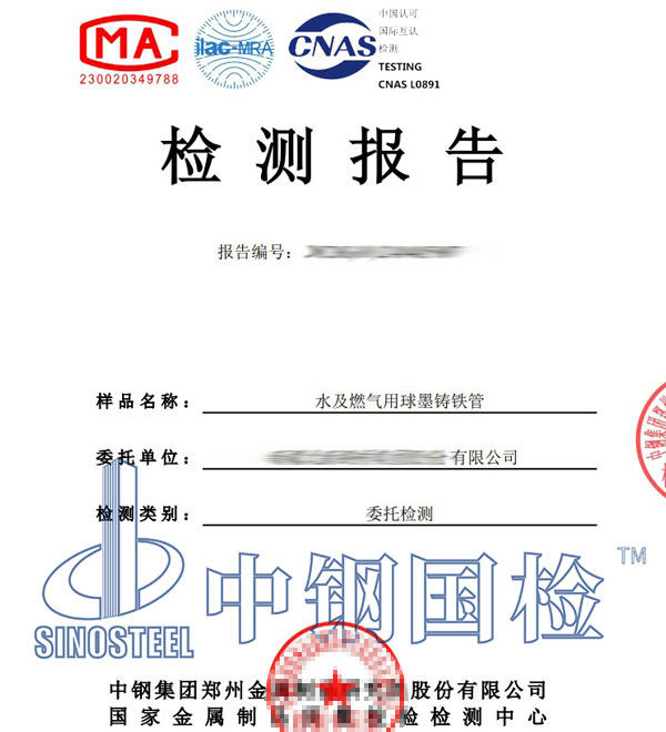 长输管道检测报告