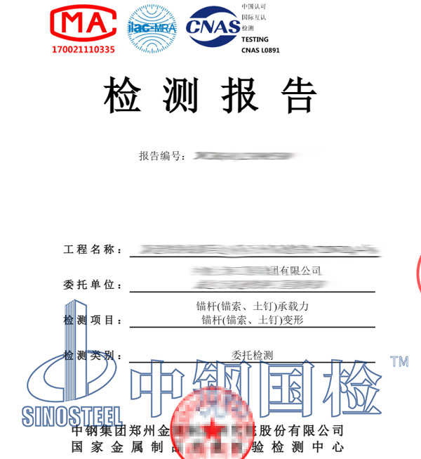 锚索检测报告