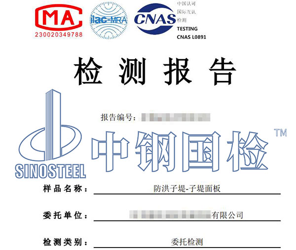 防洪子堤检测报告